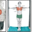 Растяжка грудных мышц после силовой тренировки